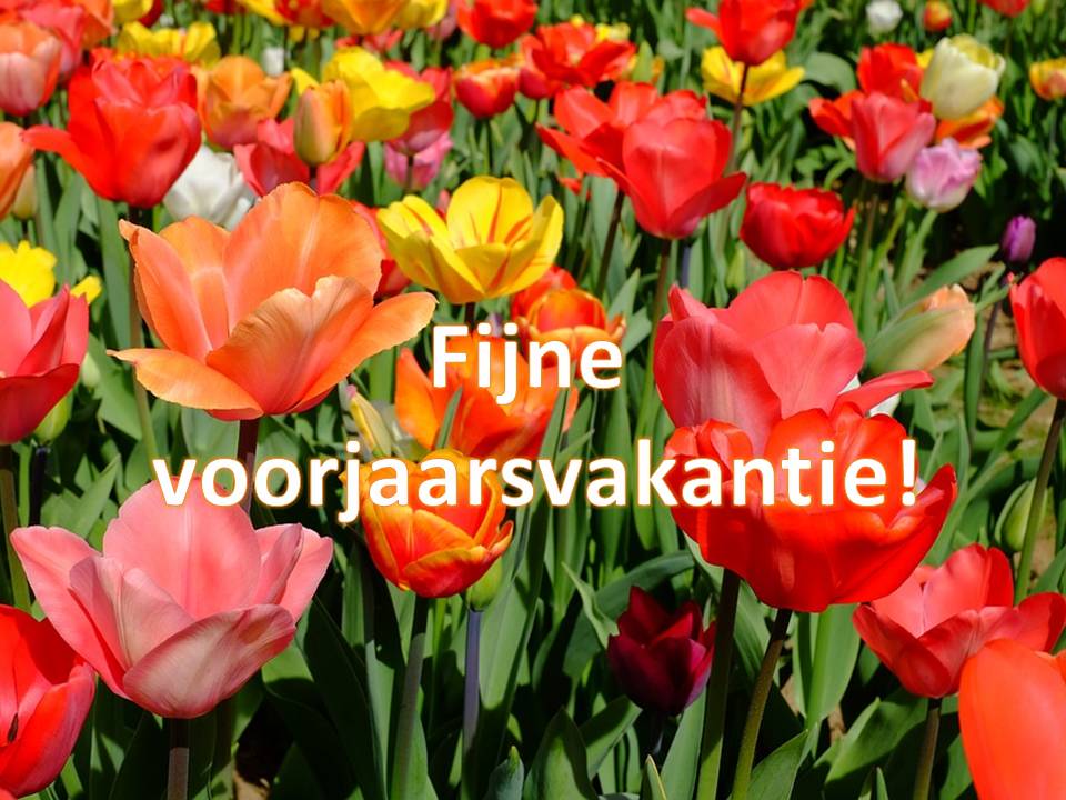 Voorjaarsvakantie